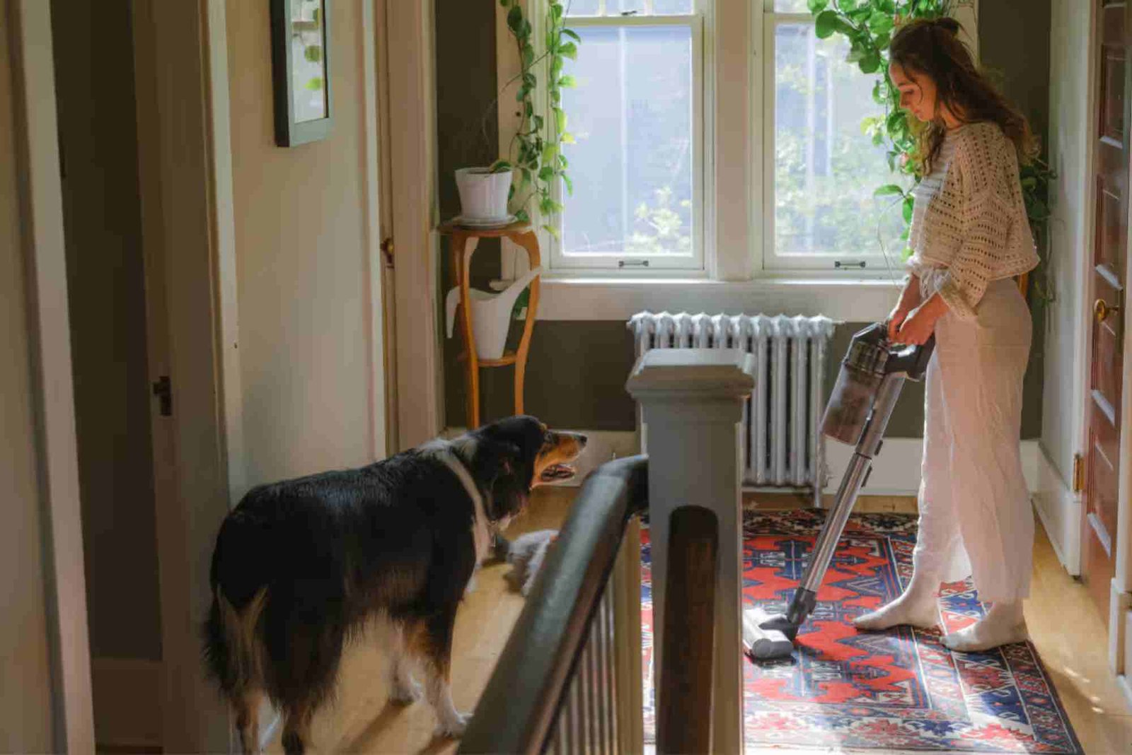 Exploring How to Clear a Room in 90 Minutes or Less: What You Should Know